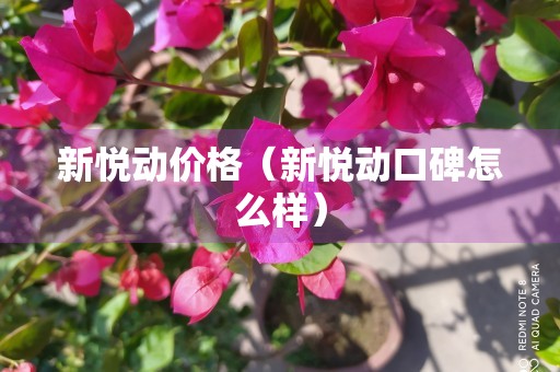 新悦动价格（新悦动口碑怎么样）