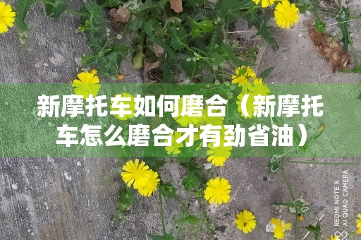 新摩托车如何磨合（新摩托车怎么磨合才有劲省油）