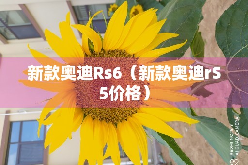 新款奥迪Rs6（新款奥迪rS5价格）