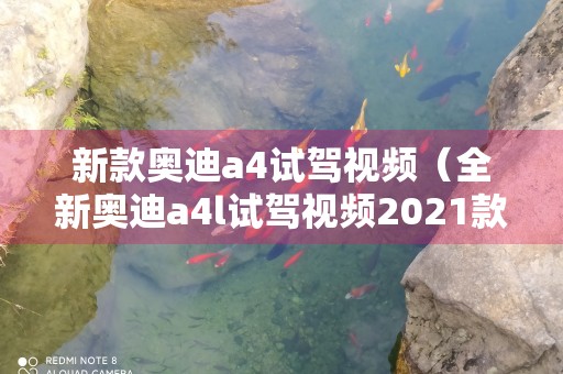 新款奥迪a4试驾视频（全新奥迪a4l试驾视频2021款）