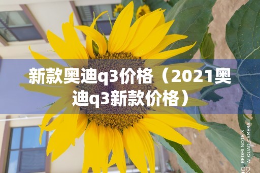 新款奥迪q3价格（2021奥迪q3新款价格）