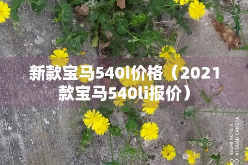 新款宝马540i价格（2021款宝马540li报价）