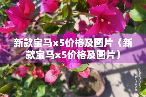 新款宝马x5价格及图片（新款宝马x5价格及图片）