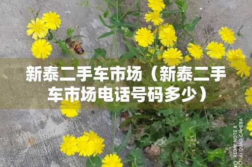 新泰二手车市场（新泰二手车市场电话号码多少）