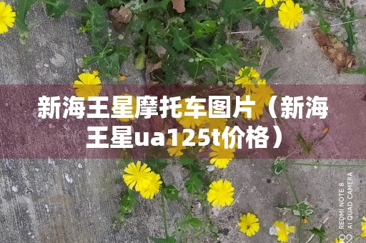 新海王星摩托车图片（新海王星ua125t价格）