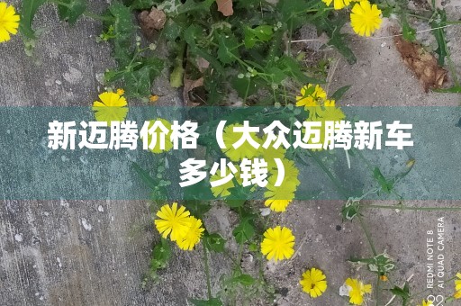 新迈腾价格（大众迈腾新车多少钱）