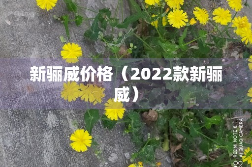 新骊威价格（2022款新骊威）