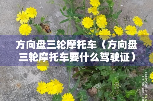 方向盘三轮摩托车（方向盘三轮摩托车要什么驾驶证）