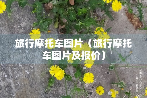 旅行摩托车图片（旅行摩托车图片及报价）