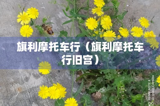 旗利摩托车行（旗利摩托车行旧宫）