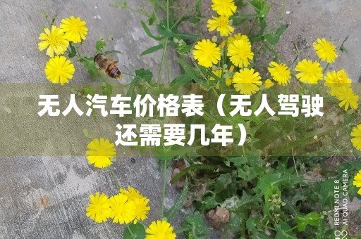 无人汽车价格表（无人驾驶还需要几年）