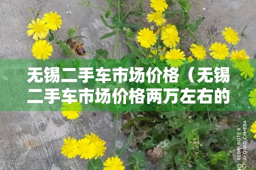 无锡二手车市场价格（无锡二手车市场价格两万左右的车）