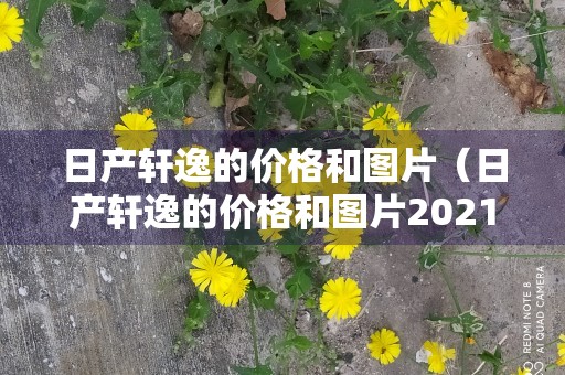 日产轩逸的价格和图片（日产轩逸的价格和图片2021）