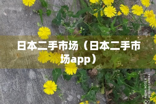 日本二手市场（日本二手市场app）