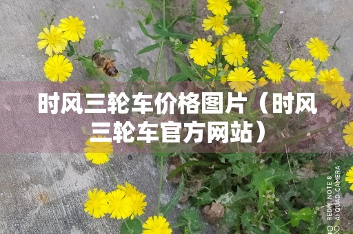 时风三轮车价格图片（时风三轮车官方网站）