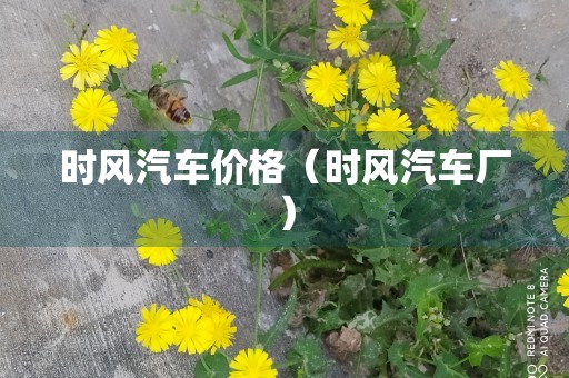 时风汽车价格（时风汽车厂）