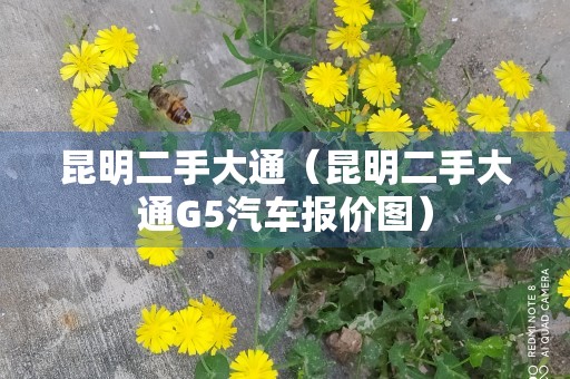 昆明二手大通（昆明二手大通G5汽车报价图）