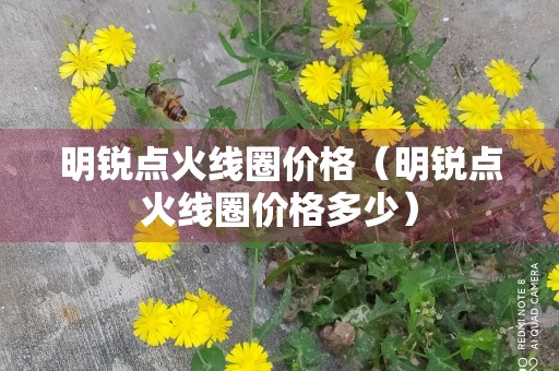 明锐点火线圈价格（明锐点火线圈价格多少）