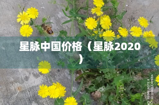 星脉中国价格（星脉2020）