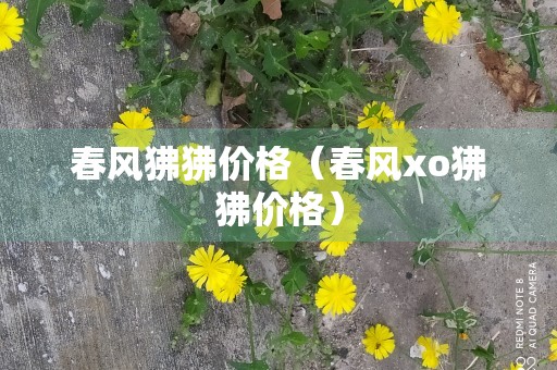 春风狒狒价格（春风xo狒狒价格）