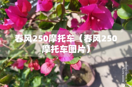 春风250摩托车（春风250摩托车图片）