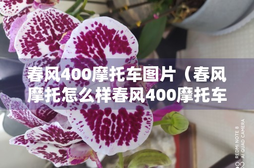 春风400摩托车图片（春风摩托怎么样春风400摩托车怎么样）