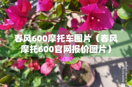 春风600摩托车图片（春风摩托600官网报价图片）