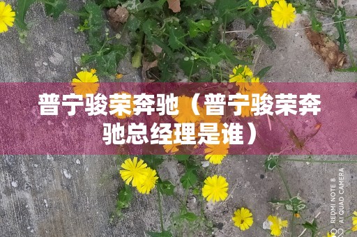 普宁骏荣奔驰（普宁骏荣奔驰总经理是谁）