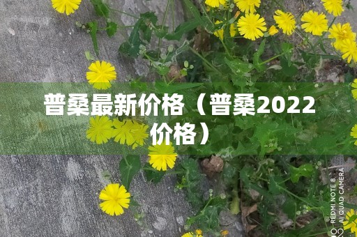 普桑最新价格（普桑2022价格）