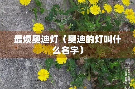 最烦奥迪灯（奥迪的灯叫什么名字）