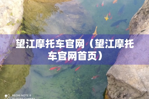 望江摩托车官网（望江摩托车官网首页）