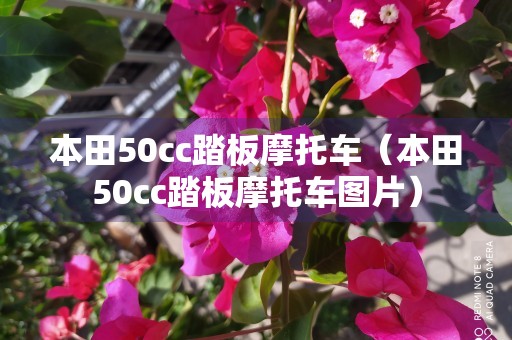 本田50cc踏板摩托车（本田50cc踏板摩托车图片）