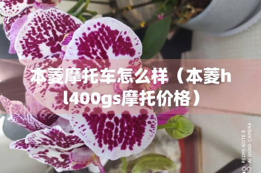 本菱摩托车怎么样（本菱hl400gs摩托价格）