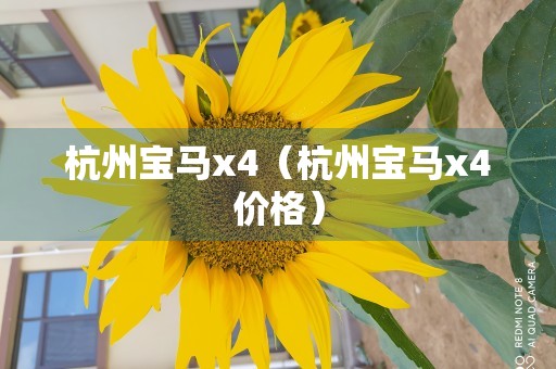 杭州宝马x4（杭州宝马x4价格）