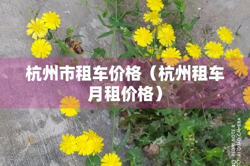 杭州市租车价格（杭州租车月租价格）