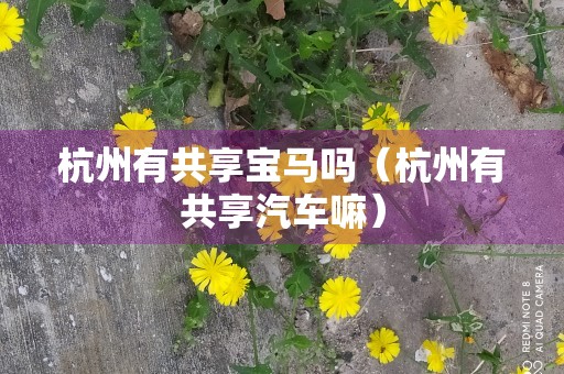 杭州有共享宝马吗（杭州有共享汽车嘛）