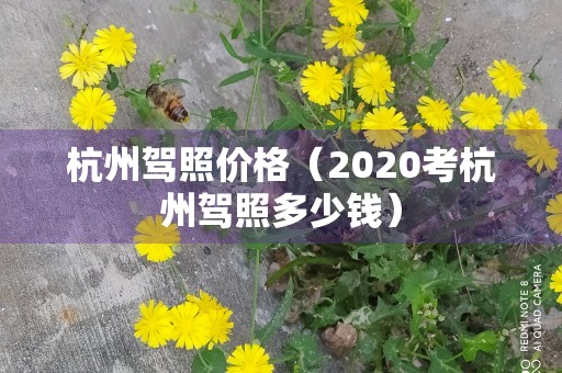 杭州驾照价格（2020考杭州驾照多少钱）