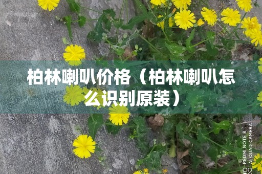 柏林喇叭价格（柏林喇叭怎么识别原装）