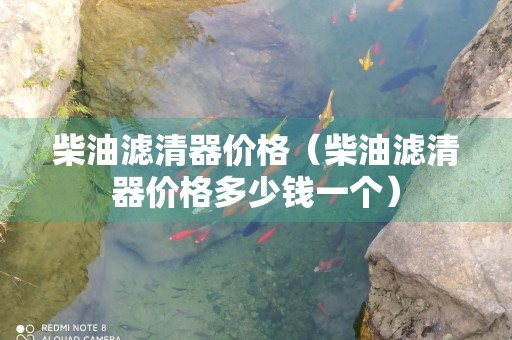 柴油滤清器价格（柴油滤清器价格多少钱一个）