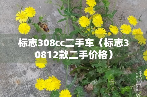 标志308cc二手车（标志30812款二手价格）