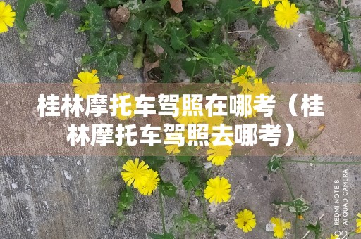 桂林摩托车驾照在哪考（桂林摩托车驾照去哪考）