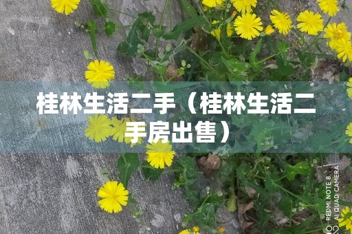 桂林生活二手（桂林生活二手房出售）