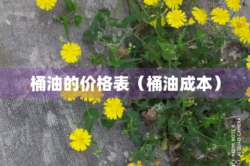 桶油的价格表（桶油成本）