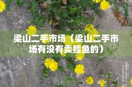 梁山二手市场（梁山二手市场有没有卖鳕鱼的）