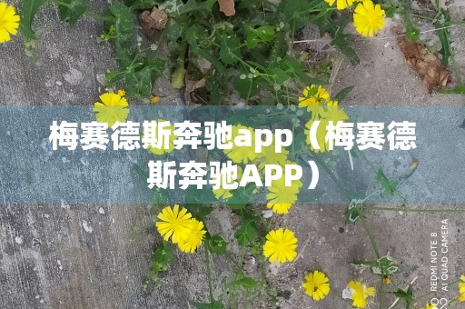 梅赛德斯奔驰app（梅赛德斯奔驰APP）