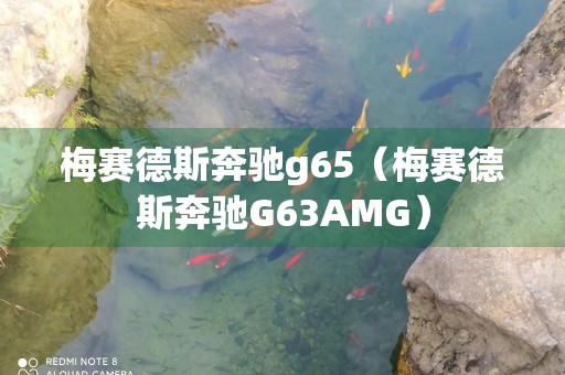 梅赛德斯奔驰g65（梅赛德斯奔驰G63AMG）