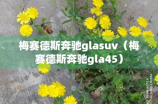 梅赛德斯奔驰glasuv（梅赛德斯奔驰gla45）