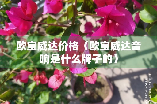 欧宝威达价格（欧宝威达音响是什么牌子的）