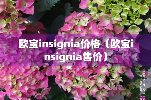 欧宝insignia价格（欧宝insignia售价）