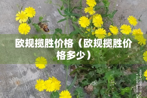 欧规揽胜价格（欧规揽胜价格多少）